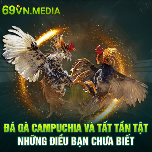 Đá Gà Campuchia 69VN Và Tất Tần Tật Những Điều Bạn Chưa Biết