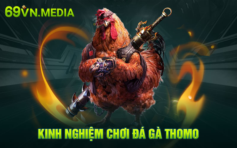 Kinh nghiệm chơi đá gà Thomo
