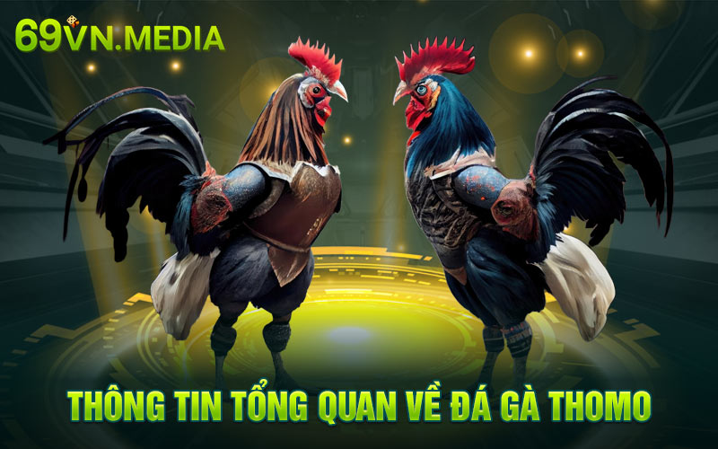 Thông tin tổng quan về đá gà Thomo