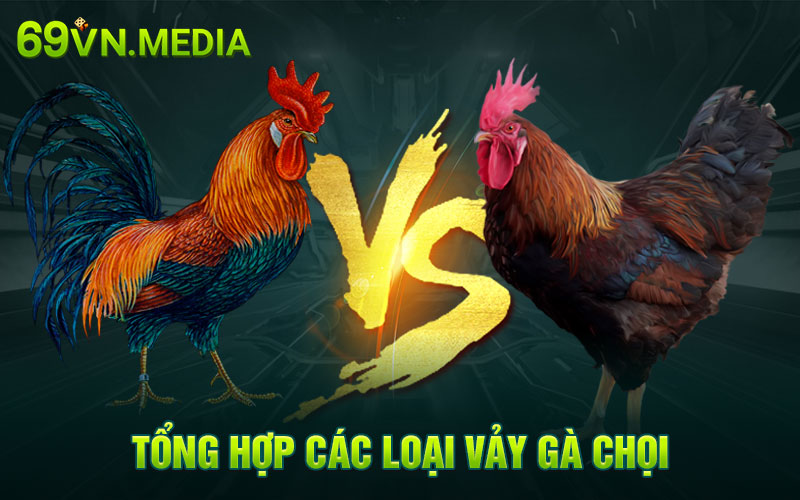 Tổng hợp các loại vảy gà chọi