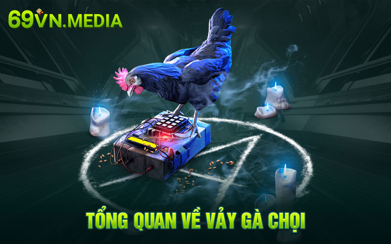 Tổng quan về vảy gà chọi