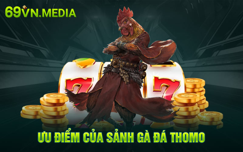 Ưu điểm của sảnh đá gà Thomo